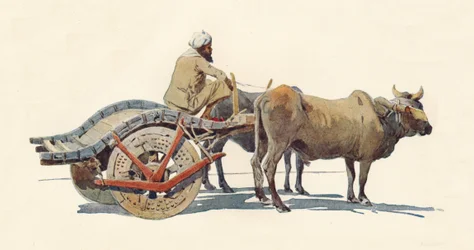 Un carro de bueyes, Jodhpur, c. 1880