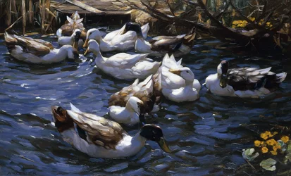 Patos en los Juncos bajo las Ramas