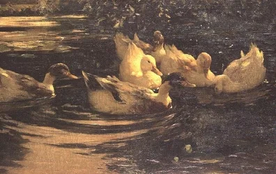 Patos en un estanque