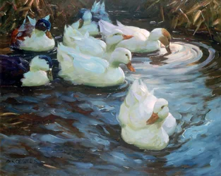 Patos en un estanque
