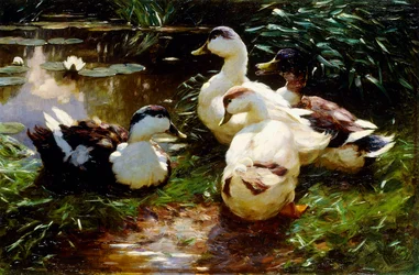 Patos en la orilla del río