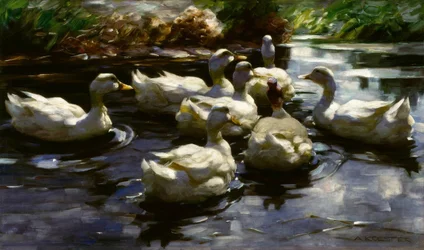 A.Koester, Patos en el estanque