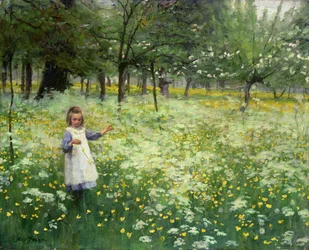 Recogiendo plata y oro, 1906