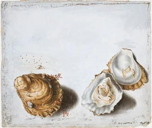Alexander Marshal (RCIN 924426-3)