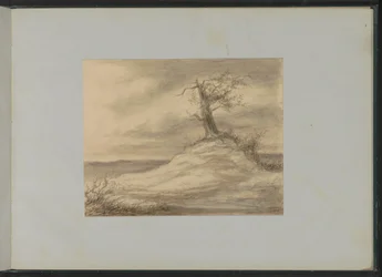 árbol en una colina