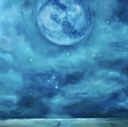 Solo en el cielo nocturno