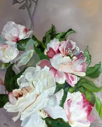 Peonías rosas y blancas