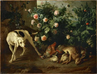 Dog guarding game near a rose bush - Chien gardant du gibier aupres d