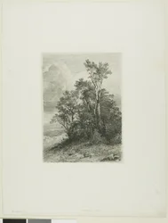 Paisaje alpino