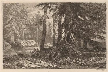 Ensayos de grabado al aguafuerte por Alexandre Calame, III, pl. 16