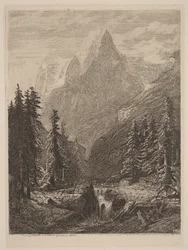 Prado de montaña