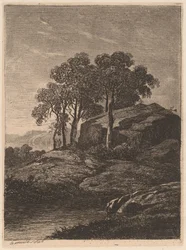 Árboles junto a una Roca