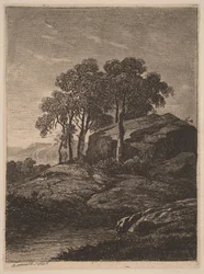 Árboles junto a una roca