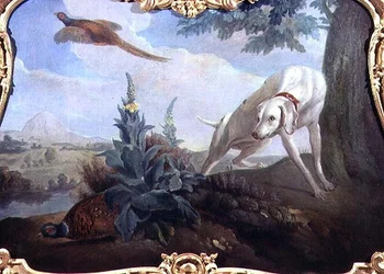 Perro con presa en un paisaje
