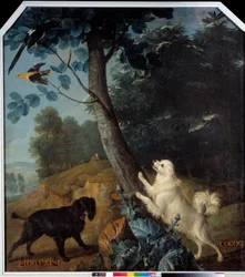 Merluzine y Cocoq, los perros de Luis XIV (1638-1715)