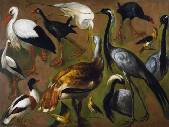 Estudio de aves, por Alexandre-Francois Desportes (1661-1743), Francia
