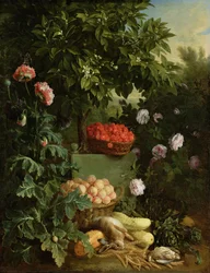 Verano, 1711