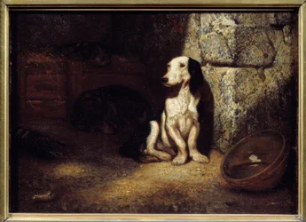 Perro de caza blanco y negro en el kennel. Al lado un cuenco lleno de agua
