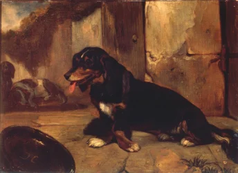 Perro basset