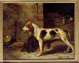 Perros Brifauts