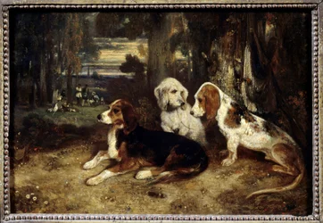 Perros de caza en reposo