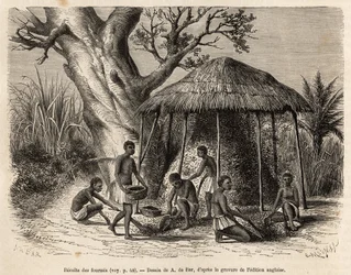 La recolección de las hormigas, se erige un techo de paja sobre la hormiga, las aladas vuelan y chocan contra este techo, aturdidas son luego barridas y recolectadas en grandes cestas para ser consumidas fritas, grabado después de un dibujo de A. de Bar, i