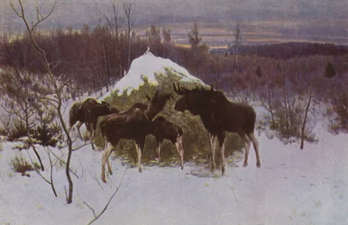 Manada de alces, 1889