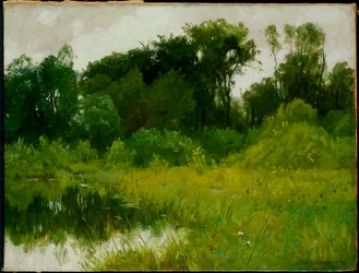 Después de la lluvia, en Minnehaha Creek