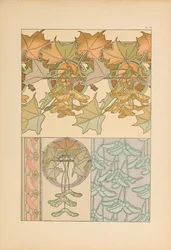 Documentos Decorativos, 1902