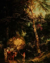 Cruzando el Arroyo