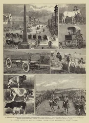 Una feria agrícola sudafricana, Port Elizabeth, Colonia del Cabo