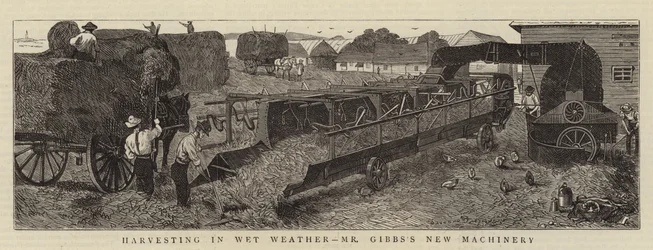 Cosecha en clima húmedo, la nueva maquinaria de Mr. Gibbs