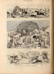 Caza del cerdo en Bengala