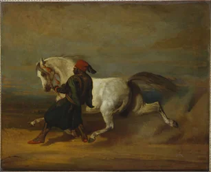 El orgullo del Pasha