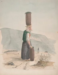 Vendedor de carbón, Tenerife