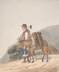Vendedor de leña, Tenerife