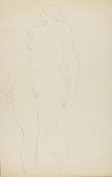 Desnudo de pie