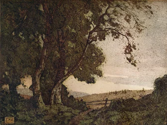 El fresno caído, c. 1910