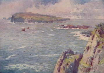 El ternero de Man, 1910