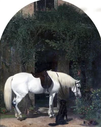 Caballo Blanco y Perro Retriever