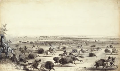 Un "Surround" de Buffalo por indios, c.1858 (lavado sobre papel)