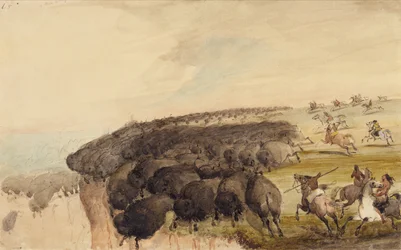 Conduciendo manadas de búfalos sobre un precipicio, c.1837 (lápiz, pluma y tinta y acuarela sobre papel)