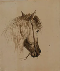 Cabeza de caballo