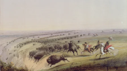 Cazando búfalos, 1837