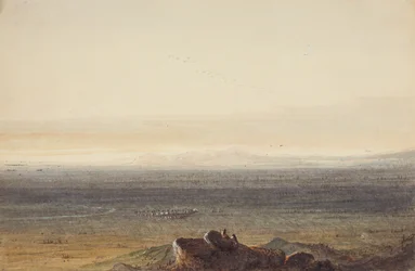 Prairie, c.1837 (lápiz, acuarela y gouache sobre papel)
