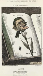 Flor desecada: caricatura sobre Littré - ilustración de 01/02/1871 en “Flores, Frutas y Verduras del Día”