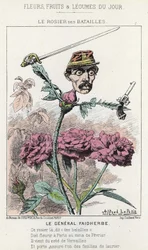 El Rosier des Battailles: caricatura sobre el General Faidherbes - ilustración del 20/01/1871 en “Flores, Frutas y Verduras del Día”