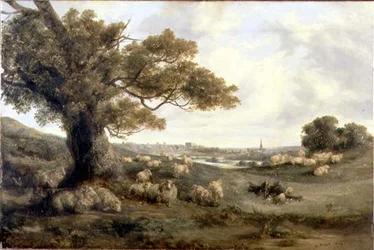 Vista de Norwich