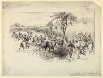 La Incursión de Ganado por la Caballería Confederada