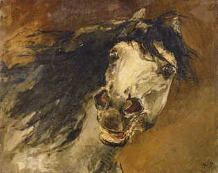 Estudio de cabeza de caballo